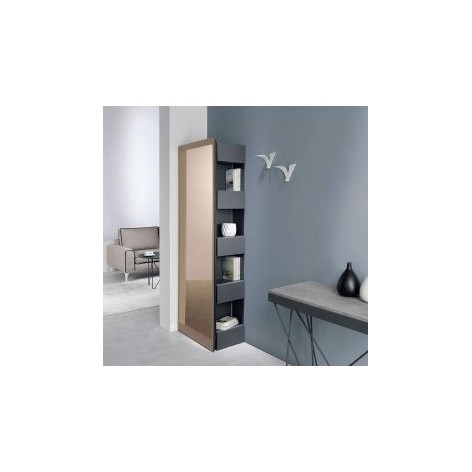 Specchiera Slide attrezzata a libreria-portaoggetti 0/544+0/548 Pezzani